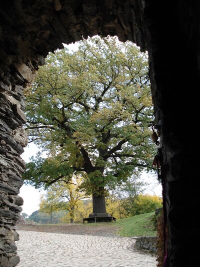 Sitzgruppe Kriebelstein (Foto: Stadt Elsterberg)