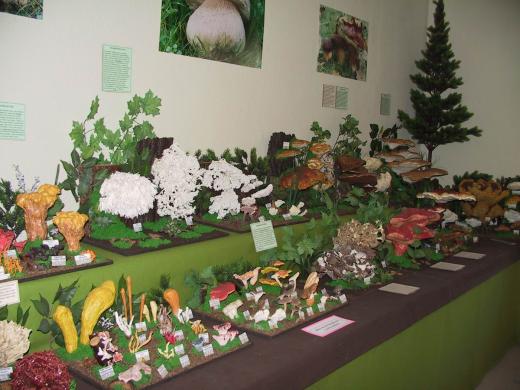 Pilzmuseum Reinhardsgrimma © Stadt Glashütte