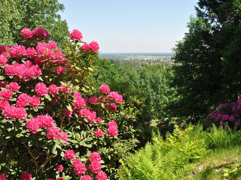 Blick vom Hutberg © Stadtverwaltung Kamenz
