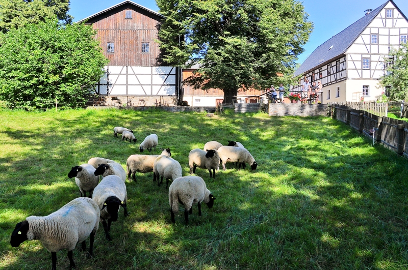 Dorfmuseum © Stadt Oederan