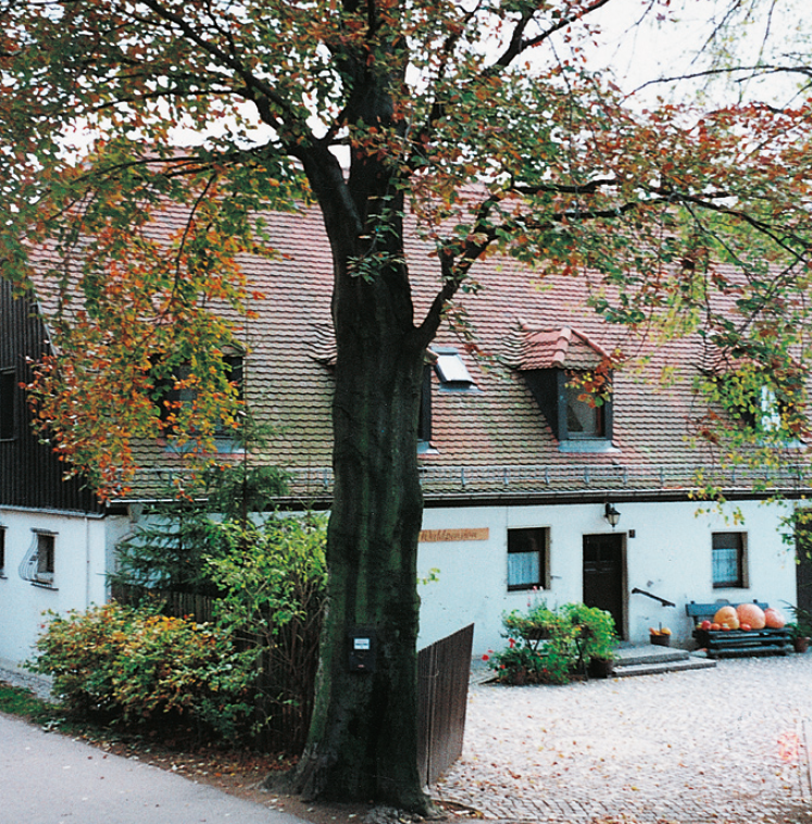 Beherbergungsbild